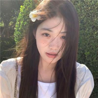 海龟们
